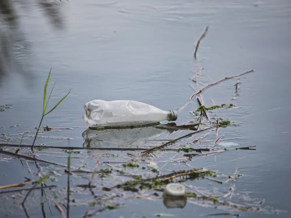 Eine Plastikflasche treibt zwischen Ästen im Wasser